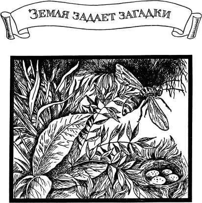 ЗЕМЛЯ ЗАДАЕТ ЗАГАДКИ Все исследуй давай разуму первое место Пифагор Гдето - фото 10