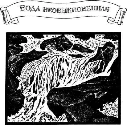 ВОДА НЕОБЫКНОВЕННАЯ Учитесь читайте размышляйте и извлекайте из всего самое - фото 14
