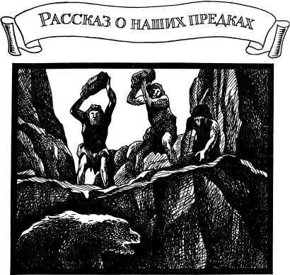 РАССКАЗ О НАШИХ ПРЕДКАХ Ключом ко всякой науке является вопросительный знак - фото 20