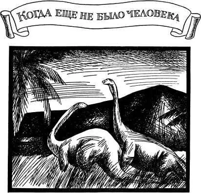 КОГДА ЕЩЕ НЕ БЫЛО ЧЕЛОВЕКА Весь смысл жизни заключается в бесконечном - фото 22