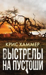 Крис Хаммер - Выстрелы на пустоши