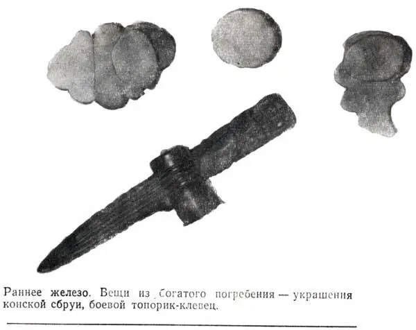 Раннее железо Вещи из богатого погребения украшения конской сбруи боевой - фото 10