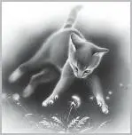 Its time to bury our dead Tall Shadow declared The black shecats words - фото 3