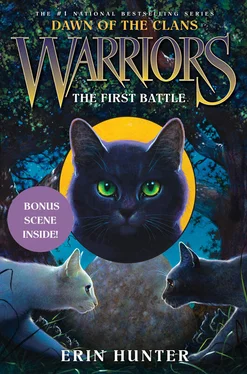 Erin Hunter The First Battle обложка книги