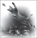 Clear Sky curled his claws into the bark of the jutting oak branch fighting to - фото 10