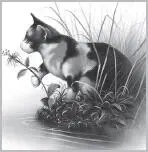 Never follow stale air The words carried back to him from his kithood when - фото 22