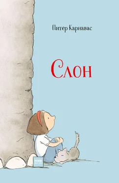 Питер Карнавас Слон обложка книги
