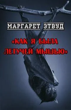 Маргарет Этвуд Как я была летучей мышью обложка книги