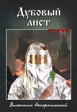 Валентин Гаркуша Дубовый лист обложка книги