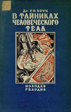 Григорий Брук В тайниках человеческого тела обложка книги