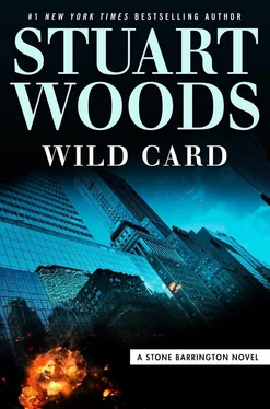 Стюарт Вудс Wild Card обложка книги