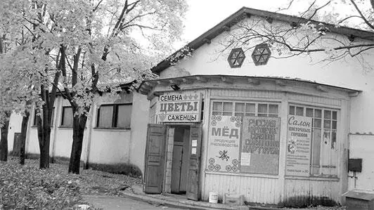 Восьмое чудо света ВСХВВДНХВВЦ - фото 179