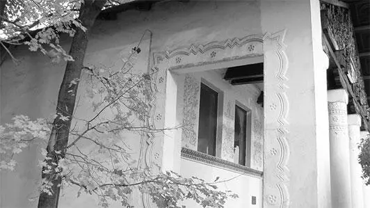 Павильон 30 Масличные культуры 1939 1954 Хлопок Микробиологическая - фото 181
