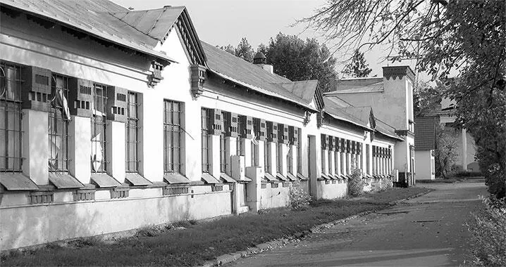 Павильон 47 Свиноводство 1954 Архитекторы А Колесниченко Г Савинов - фото 228