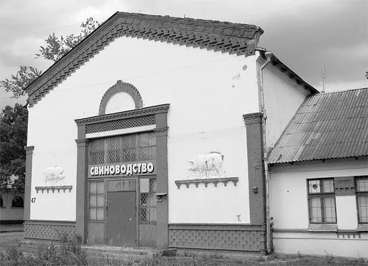 Угловая башня павильона 47 Свиноводство Архитекторы А Колесниченко Г - фото 229