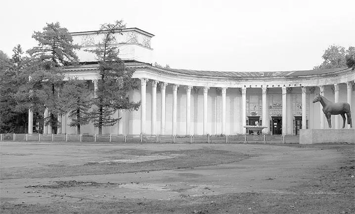 Павильон 56 Ветеринария 1939 Архитектор А Колесниченко художник С - фото 240