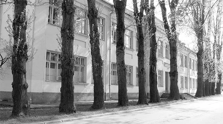 Строение 317 Типовое здание сельской школы раздела Новое в деревне 1939 - фото 333