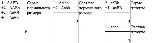 Таблица 10 Отношения между числом пар аллелей и числом фенотипических и - фото 113