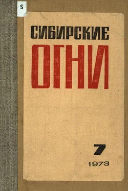 Николай Гончаров Стрекоза ломает крылья обложка книги