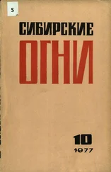 Вениамин Шалагинов - Кафа