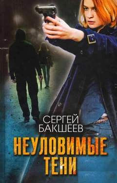 Сергей Бакшеев Неуловимые тени обложка книги