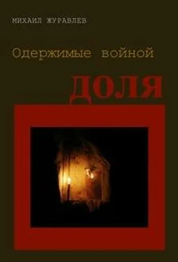 Михаил Журавлев Одержимые войной. Доля обложка книги