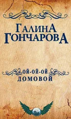 Галина Гончарова - Ой-ой-ой, домовой! [СИ]