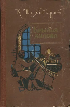 Константин Шильдкрет Крылья холопа обложка книги