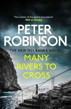 Peter Robinson Many Rivers to Cross обложка книги