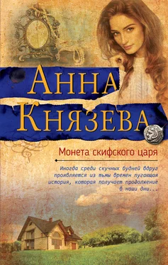 Анна Князева Монета скифского царя [litres] обложка книги