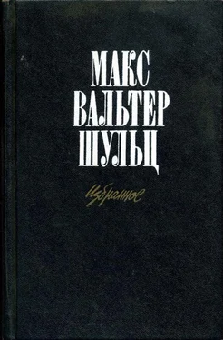 Макс Шульц Летчица, или конец тайной легенды [Повесть] обложка книги