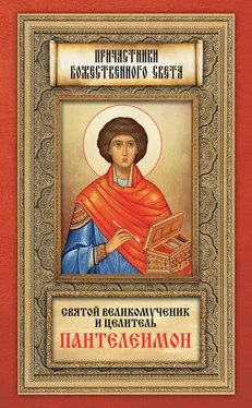Андрей Плюснин Святой великомученик и целитель Пантелеимон обложка книги
