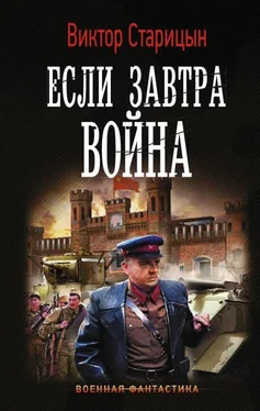 Виктор Старицын Если завтра война [оптимизированы иллюстрации] обложка книги