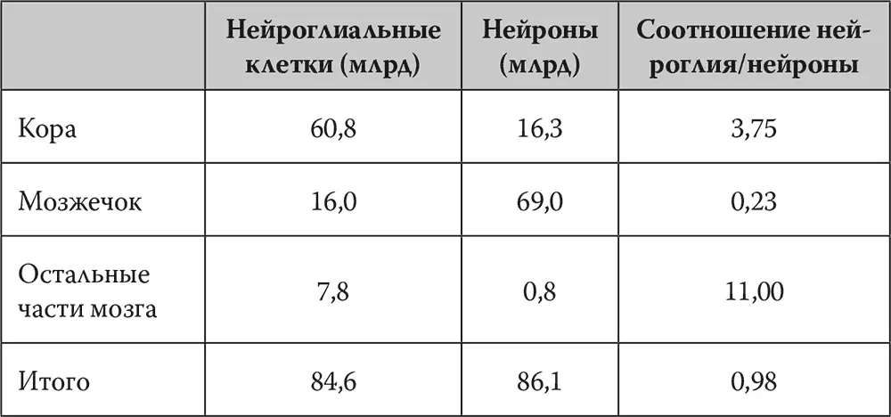 Нейроглиальные клетки могут играть заметную и не всегда положительную роль в - фото 22