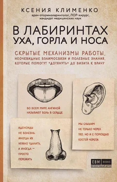 Ксения Клименко В лабиринтах уха, горла и носа. Скрытые механизмы работы, неочевидные взаимосвязи и полезные знания, которые помогут «дотянуть» до визита к врачу обложка книги