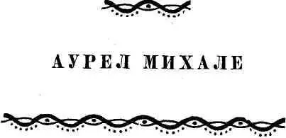 Новелла современной Румынии - фото 46