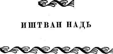 ЭТО РАВНОСИЛЬНО ПОБЕДЕ Давайте пройдем на м - фото 54