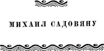ТАМОЖНЯ НА КЛАДБИЩЕ ЭЮБ Я расскажу вам одну - фото 58