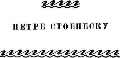 Новелла современной Румынии - фото 65