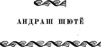 Новелла современной Румынии - фото 69