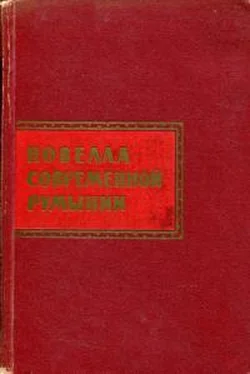 Михаил Садовяну Новелла современной Румынии обложка книги