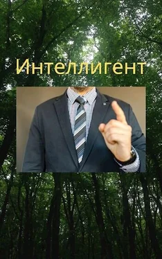 Алексей Чембарцев Интеллигент обложка книги