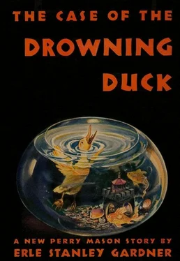 Erle Gardner The Case of the Drowning Duck обложка книги