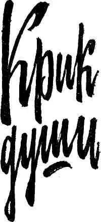 Утро было студеное ясное солнечное Ночью морозом прихватило лужи и теперь - фото 3