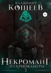 Владимир Кощеев - Некромант из криокамеры 3 [оптимизирована обложка] [publisher - SelfPub]