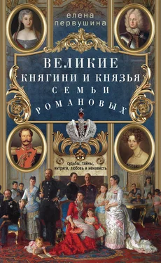 Елена Первушина Великие княгини и князья семьи Романовых обложка книги