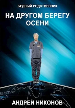 Андрей Никонов На другом берегу осени (БР √2) обложка книги