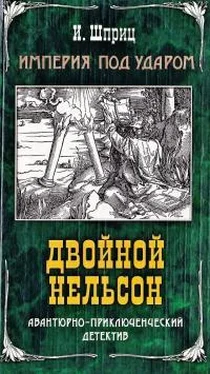 Игорь Шприц Двойной Нельсон обложка книги
