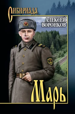 Алексей Воронков Марь [litres] обложка книги