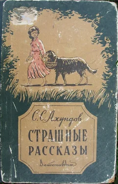 Сулейман Ахундов Нуреддин обложка книги